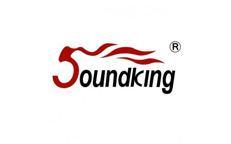 soundking-logo (1).jpg